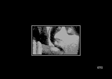 babygang-holidays_demo004.jpg