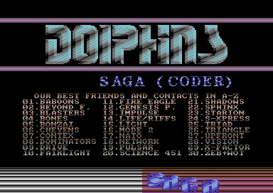 dolphins-best_friends001.jpg