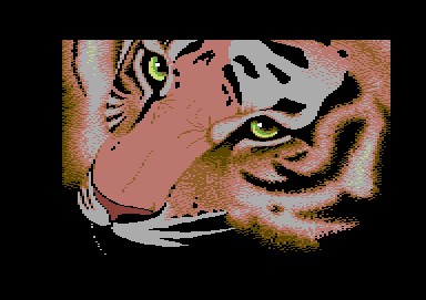 dual_crew-creepshow_2006.jpg