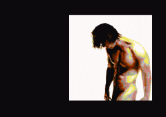 flt&crest-anyone.png