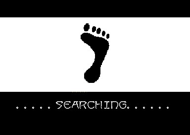 secret_lab_productions-pigometrics003.jpg