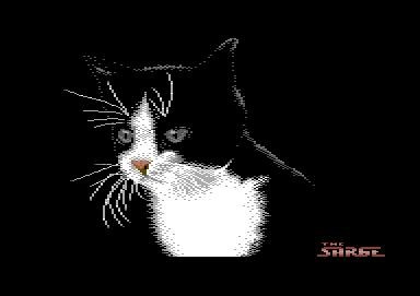 triad-the_cat001.jpg