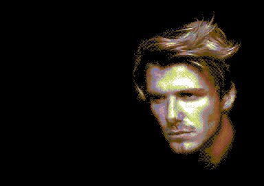 various-floppy_2004_graphics001.jpg
