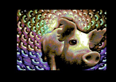 xenon-pearls_for_pigs006.jpg