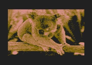 xlcus-imap_demo_2005.jpg