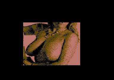 zoko_team-tr0tt_og_sliten004.jpg